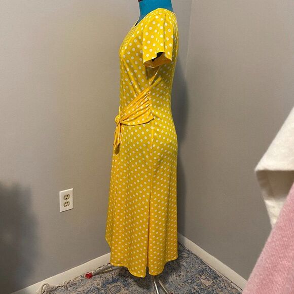 Chelsea Suite Scooped Neck Short Sleeve Polka Dot Womens Dress Size 10 - Picture 3 of 9
